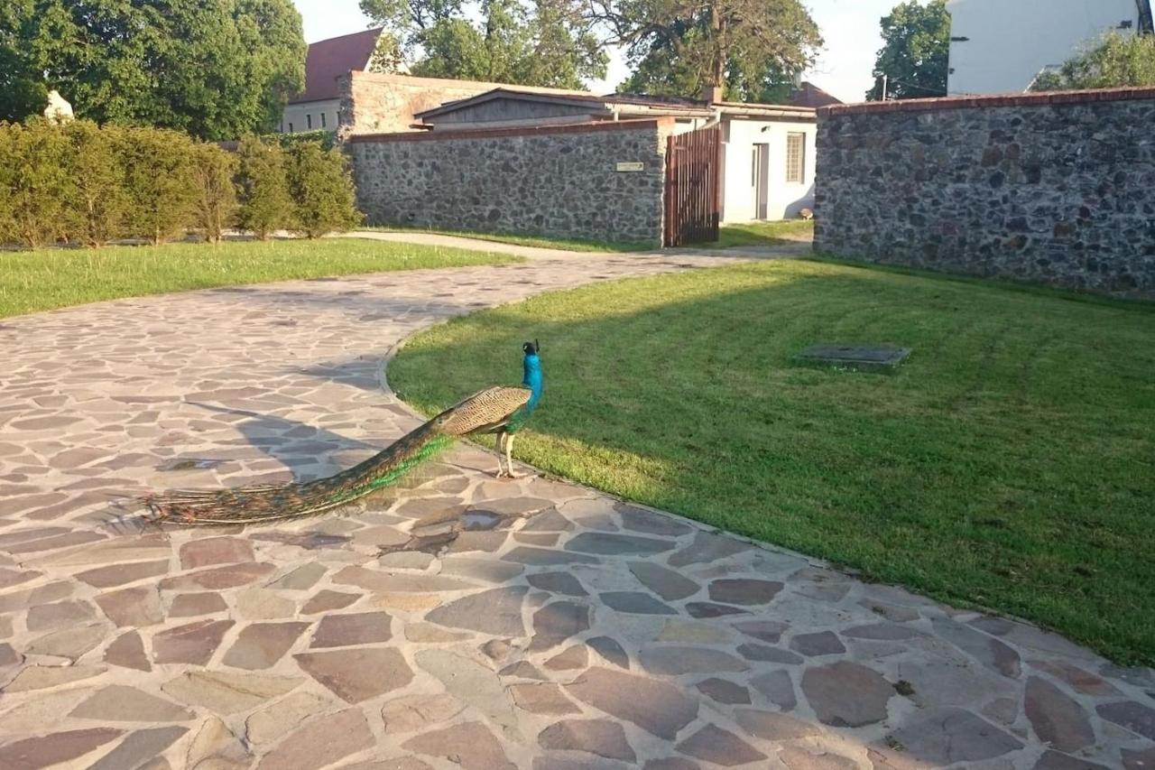 Slovak Cottage Near Bratislava In The Heart Of The Carpathians Modra Εξωτερικό φωτογραφία