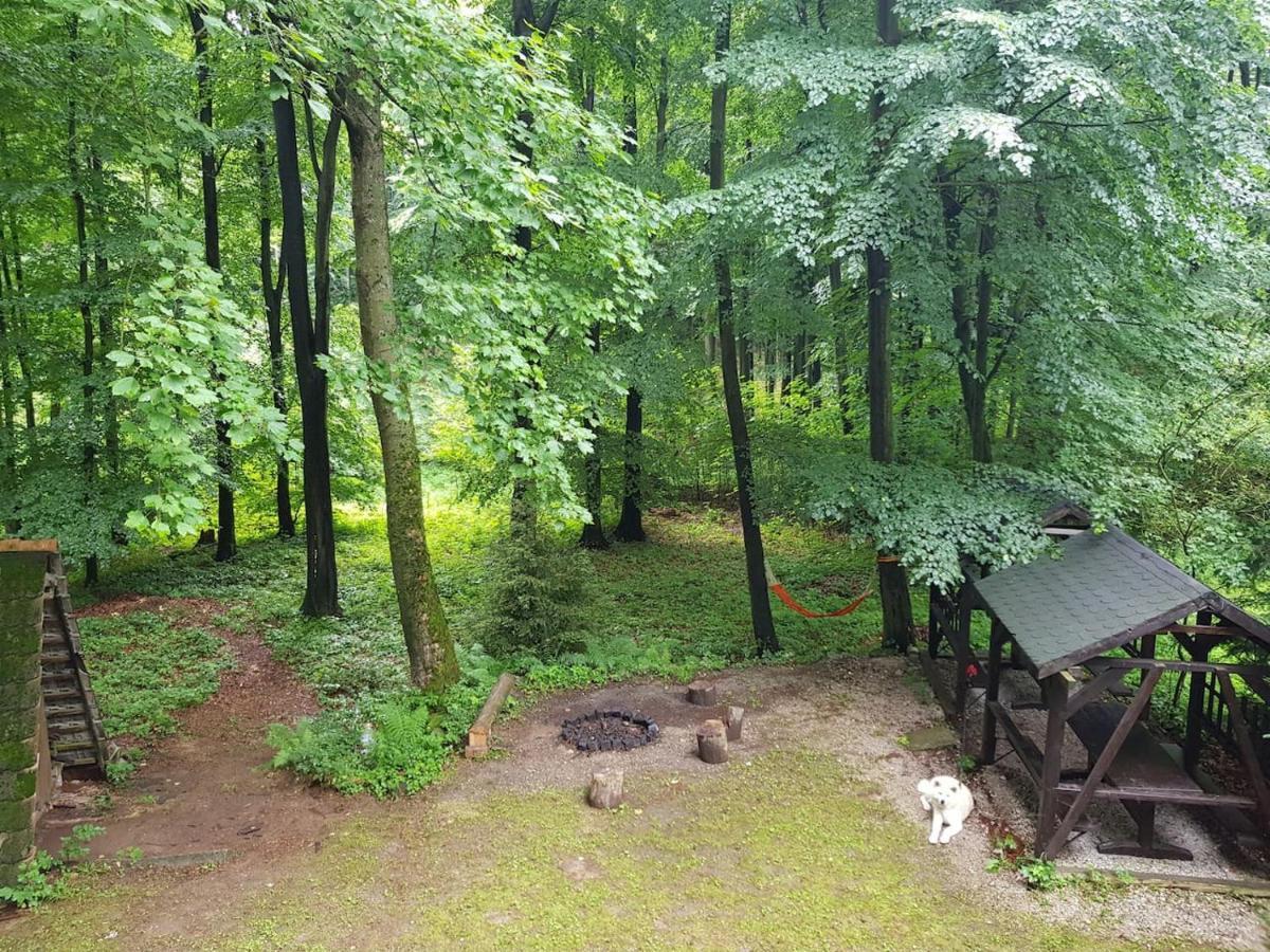 Slovak Cottage Near Bratislava In The Heart Of The Carpathians Modra Εξωτερικό φωτογραφία