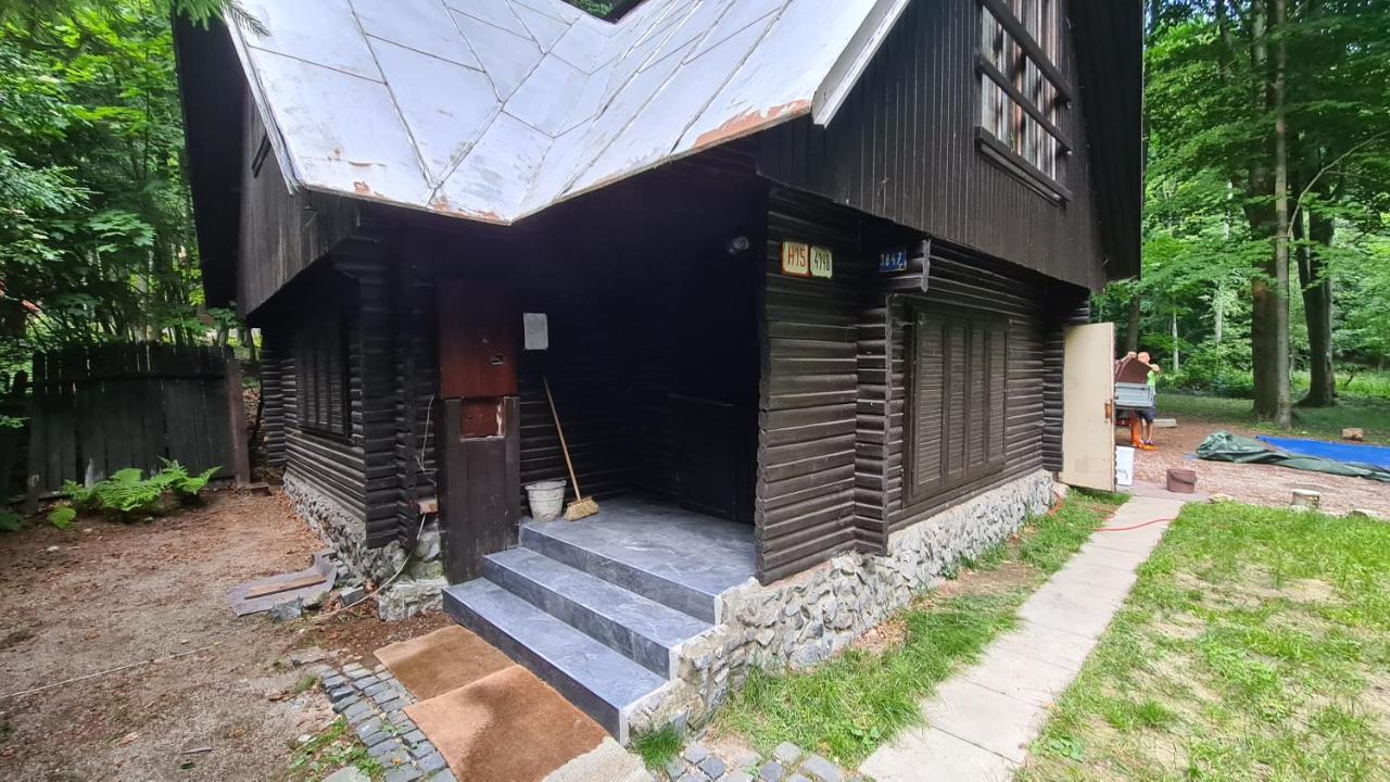 Slovak Cottage Near Bratislava In The Heart Of The Carpathians Modra Εξωτερικό φωτογραφία